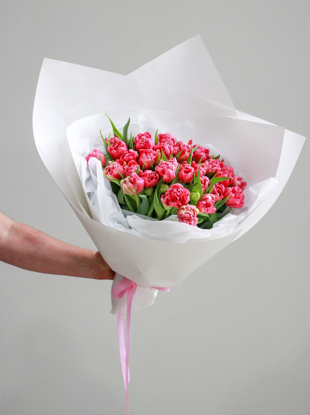 A bouquet of pink double tulips gift wrapped in white paper and tied with a pink ribbon. 