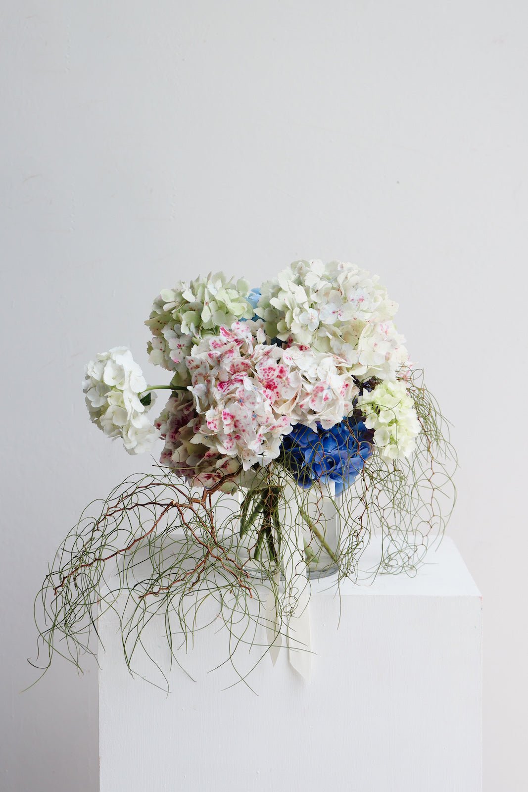 A vase arrangement of Blue, white and pink Hydrangea flowers with trailing acacia foliage. The arrangment is sitting on a white plinth in from of a white wall. 